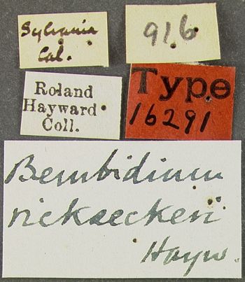 Media type: image;   Entomology 16291 Aspect: labels
